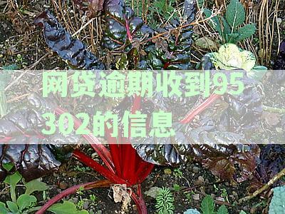 新网贷逾期95302短信电话骚扰，如何解决？