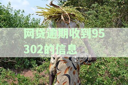 网贷逾期收到95302的信息