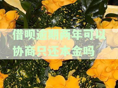 借呗逾期两年能否协商只还本金一次性还款