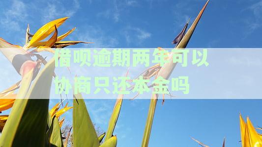 两年逾期借呗如何协商只还本金？