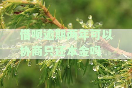 逾期两年后，支付宝借呗还款能否申请免除罚息和利息？