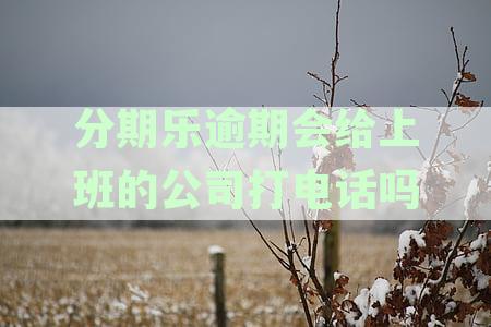 分期乐逾期还款是否会联系工作单位？如何避免电话骚扰及处理方式全面解析