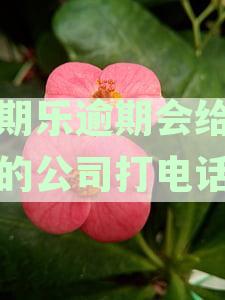 分期乐逾期会不会打电话到通讯录、家人或工作单位催收？