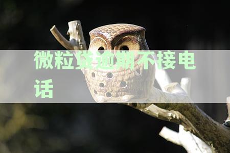 微粒贷逾期不接电话是否会联系家人？还有其他解决办法吗？
