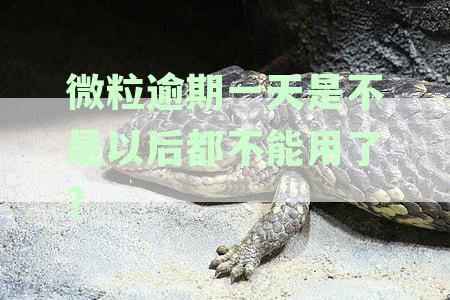 微粒贷逾期一天后，还款和使用受限的具体原因与解决方法