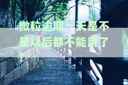 微粒货逾期一天是否影响征信及借款，如何处理？