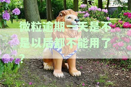 微粒贷逾期一天：信用评分、罚息和贷款额度会受到影响吗？