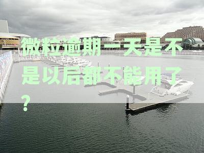 新微粒贷逾期一天后还款攻略：如何进行还款操作及逾期影响解析