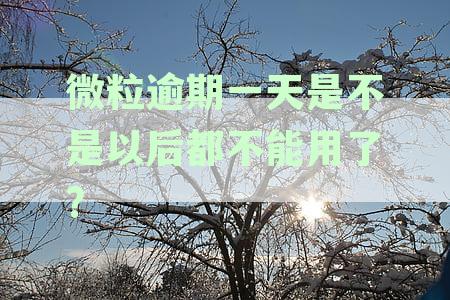 微粒贷逾期一天没事儿吧？逾期一天后还款会有影响吗？