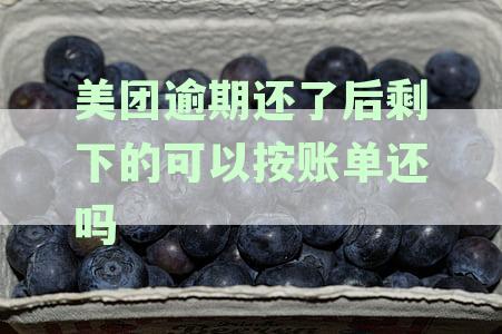 美团逾期还款后，剩余款如何按照账单进行二次还款？