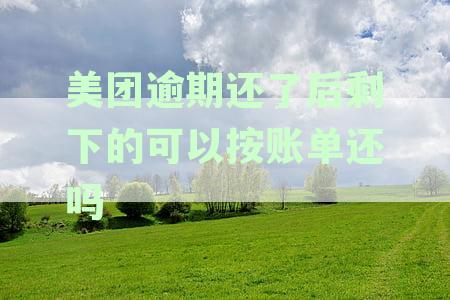 美团逾期还款完成后，一次性结清剩余欠款的合理要求