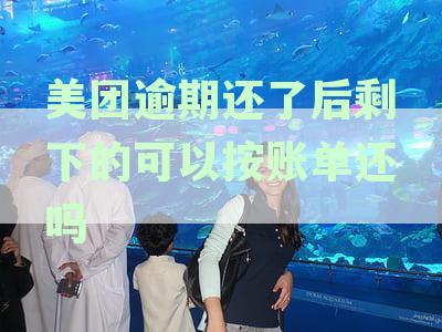 美团逾期还了后剩下的可以按账单还吗