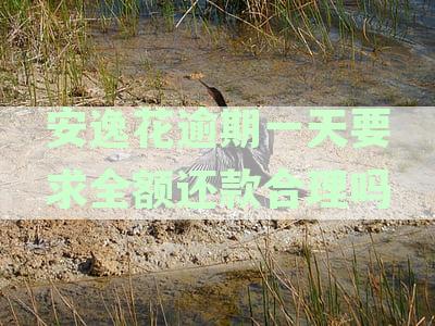 安逸花逾期一天是否会产生逾期费用？如何避免逾期费用？