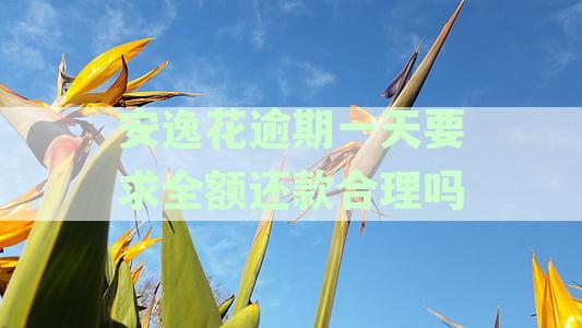 安逸花逾期一天会有什么后果？有奖问答