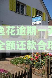 安逸花逾期一天还款后，是否可以再次借款并继续使用？