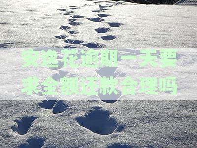 安逸花逾期一天，提现受限：借款之路何去何从？