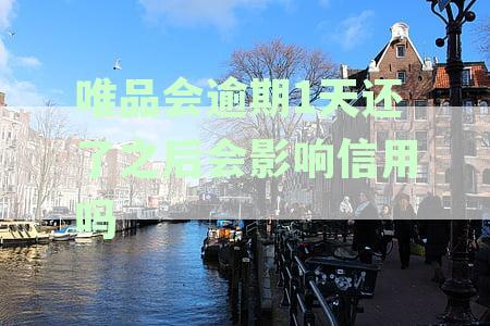 唯品会逾期还款一天后，信用评分是否会受到影响？如何解决这个问题？