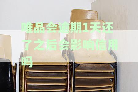 唯品会逾期1天还款后，信用受损怎么办？