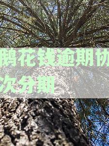 小鹅花钱逾期问题解决方案：二次分期协商失败如何处理还款困境