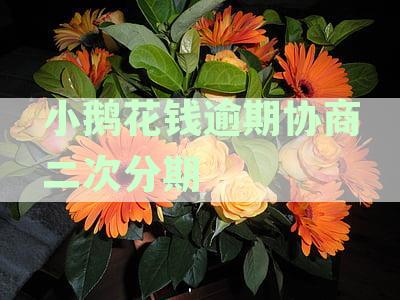 小鹅花钱逾期还款问题解答：如何协商分期还款并解决潜在影响？