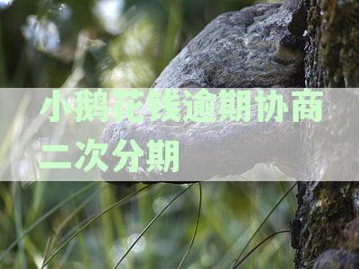小鹅花钱逾期协商还款实战攻略及法律详解