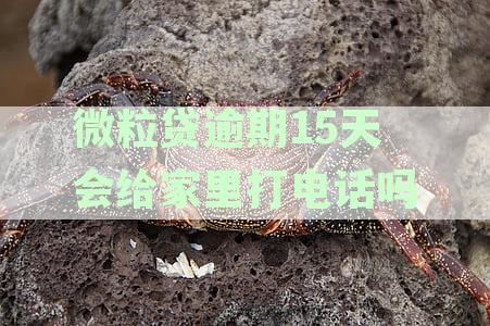 微粒贷逾期还款时间与催收方式：逾期15天后是否会联系家人？
