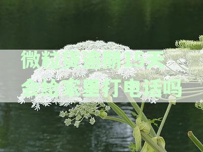 新逾期15天后，微粒贷会联系家人吗？如何处理这种情况及预防措？