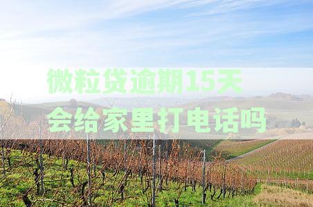 微粒贷逾期后的催收流程：多久会联系家人？如何避免骚扰电话和影响信用？