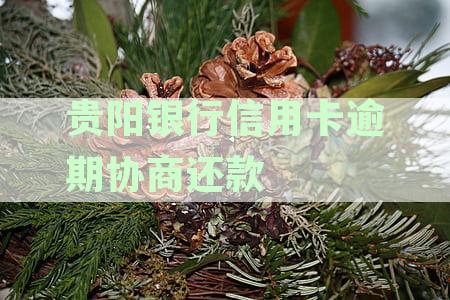贵阳信用卡逾期还款协商全指南：详细步骤和重要提示