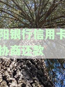 贵阳银行信用卡申请、使用、还款及客服电话全解析，解答您所有疑问
