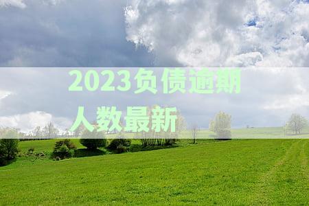 2020年中国负债率与逾期率统计分析：负债、逾期数据及资讯一览