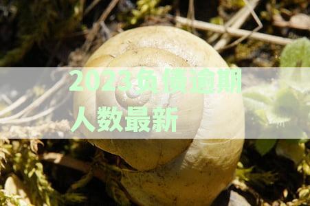 XXXX年全国逾期负债人数统计数据：中国负债人口分析