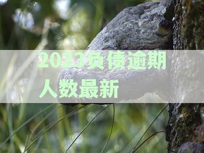 2023负债逾期人数最新