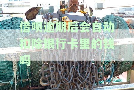 逾期还款的后果与借呗自动扣款功能：你需要知道的一切银行卡信息