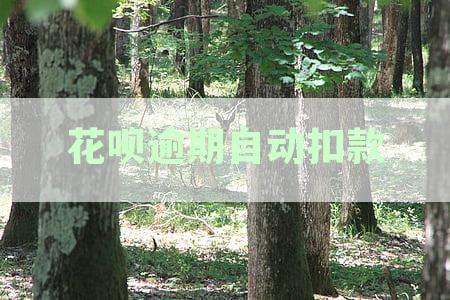 花呗逾期自动扣款后，资金是否能够退回？救命钱的救赎之道解析