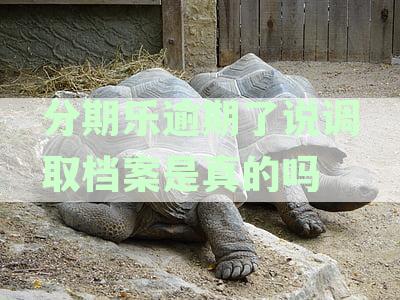 分期乐逾期10天可能面临的后果：不仅仅是移交户地，还包括这些影响！