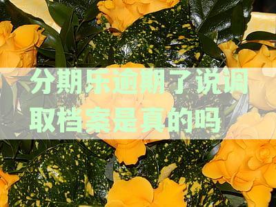 分期乐欠款12000元，逾期495天，将要联系户地进行处理？真的吗？