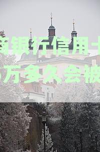 招商银行信用卡逾期6万的后果及起诉时间全面解析，用户必看！