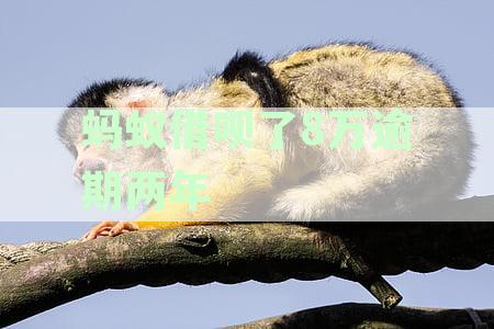 蚂蚁借呗8万逾期两年后果：会坐牢吗？该如何处理？