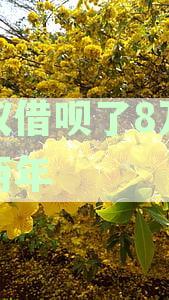 逾期两年的蚂蚁借呗8万元，会面临起诉的风险吗？如何解决此问题？