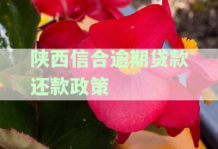 陕西信合贷款政策：逾期还款的罚息计算与处理方法