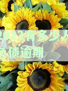 2023年负债逾期人数统计：中国与全球情况对比