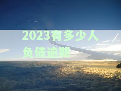 今年有多少人负债逾期，失业，过亿，累累？2021年负债人数统计
