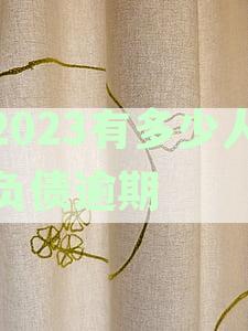 2023有多少人负债逾期