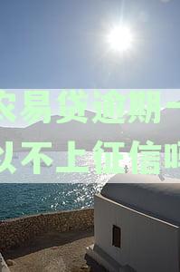 金农易贷逾期一天还款会不会影响征信？如何避免逾期产生的不良信用记录？