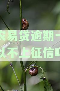 金农易贷逾期一天还款困扰，如何解决？