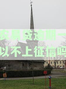 金农易贷逾期还款后是否可以继续使用？