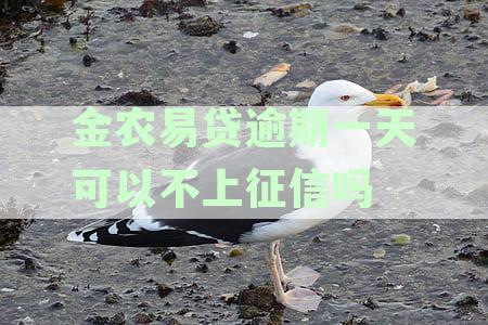 金农易贷逾期一天可以不上征信吗