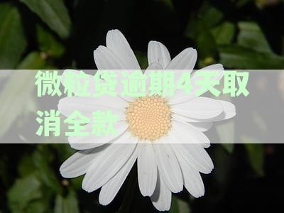 逾期四天后全款还款的微粒贷解决方法：真的有效！