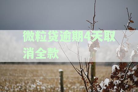 微粒贷4天逾期：催收电话不断，真的需要全额还款吗？